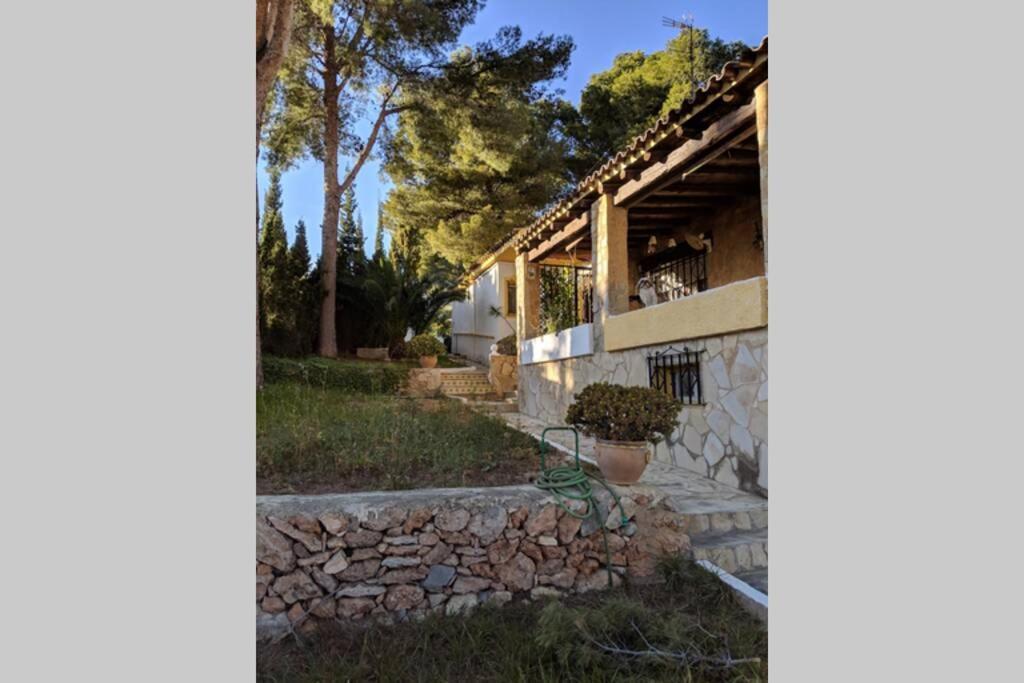 Villa Carmen - Chalet Privado Con Piscina, Jardin Y Barbacoa Alcoceber Экстерьер фото